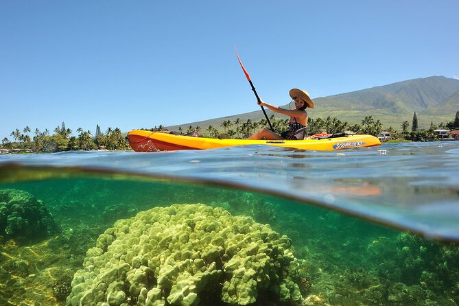 Turtle Reef Kayak Tour of Makena, Maui - The Sum Up