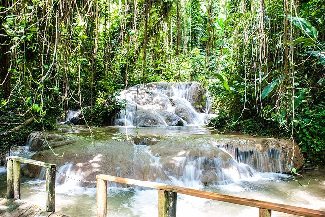 Turtle River Falls and Gardens Private Tour - Tour Pricing and Duration