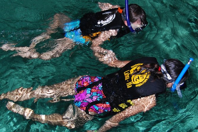 Turtle Snorkeling Adventure From Cancun - Reviews