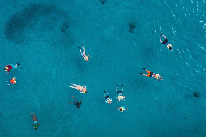 Turtle Snorkeling Adventure in Waikiki (Boat Tour) - Viator Information