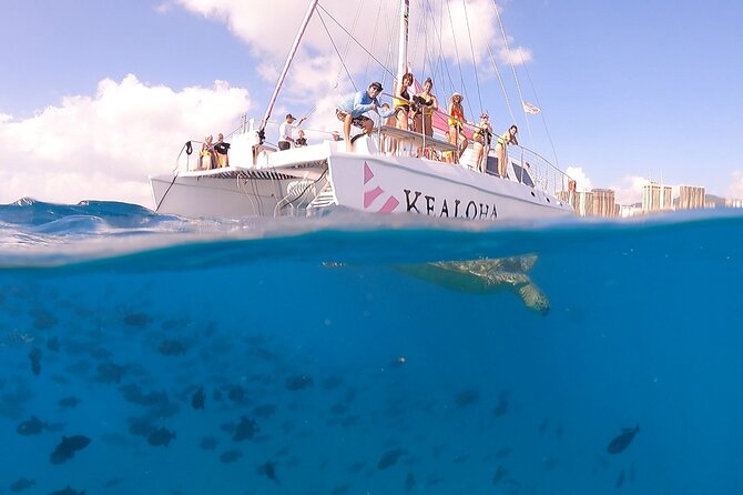 Turtle Snorkeling Adventure in Waikiki (Boat Tour) - The Sum Up