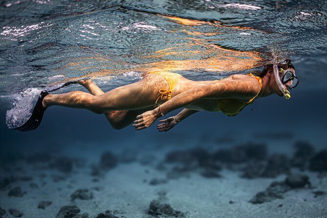 Turtle Snorkeling Aruba: Private Tour with Video - FAQs