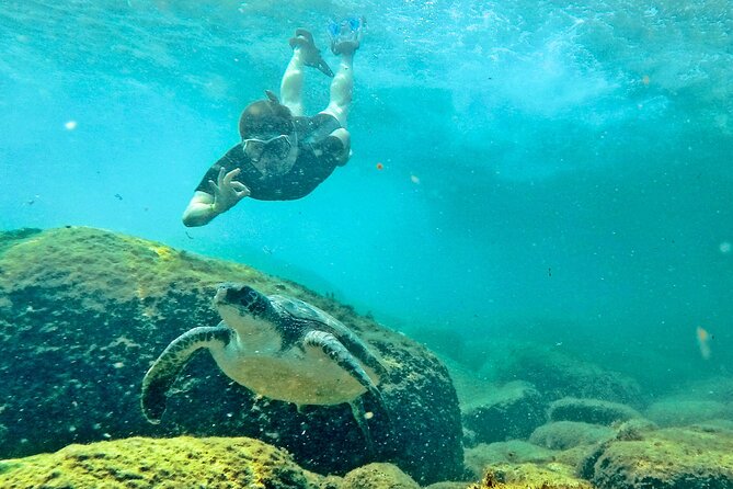 Turtle Snorkeling by Adrenailha - Good To Know