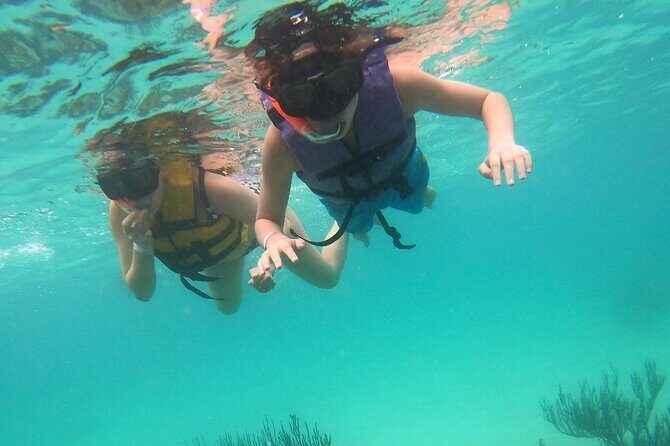 Turtle Snorkeling in Akumal - The Experience in Detail  