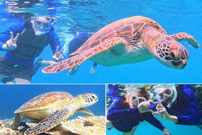 Turtle Snorkeling in Ishigaki - Fluent English! Small Group! - Good To Know