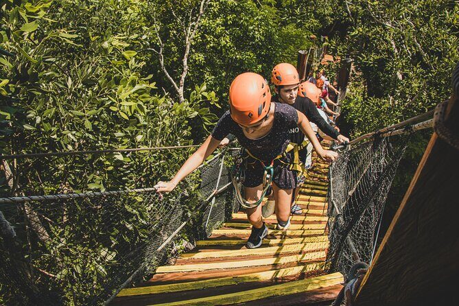 Turtle Snorkeling Jungle Adventure + Zipline and Rappel in Cenote - The Sum Up