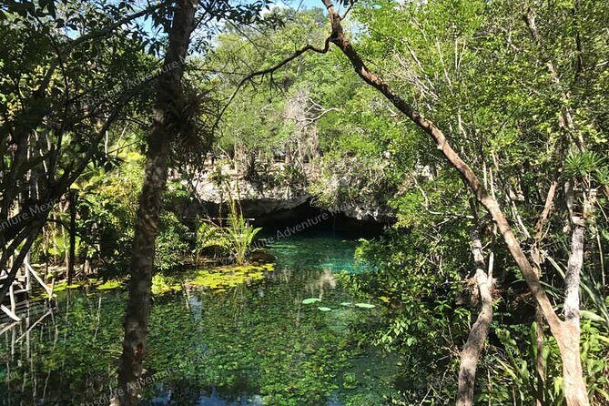 Turtle Snorkeling Private Tour Sea Turtles & Cenote in Tulum - Final Thoughts