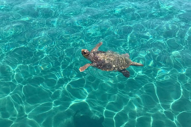 Turtle Spotting Cruise in Zakynthos - Admiring the Keri Caves