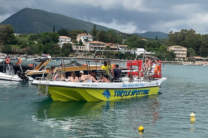 Turtle Spotting Cruise in Zakynthos on a Glass-Bottom Vessel - Reviews