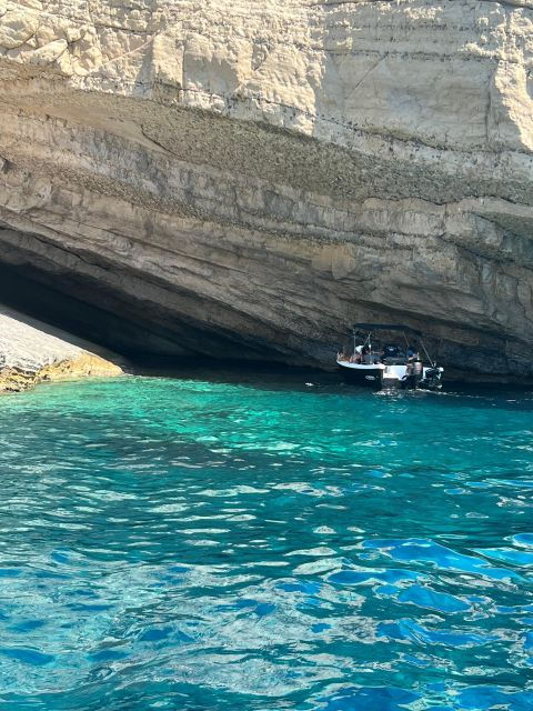 Turtle Spotting in Laganas - Experience Itinerary