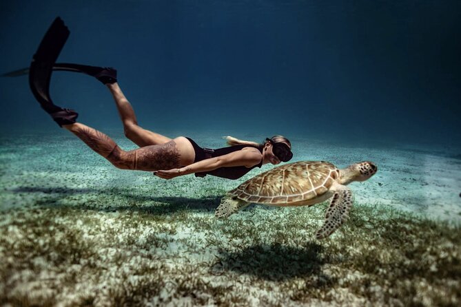 Turtle Spotting Snorkeling Tour - Booking and Refunds