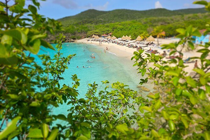 Turtle Swim at TurtleBay visit Flamingos & KnipBeach Safari Truck - The Full Scoop on the Turtle & Beach Safari