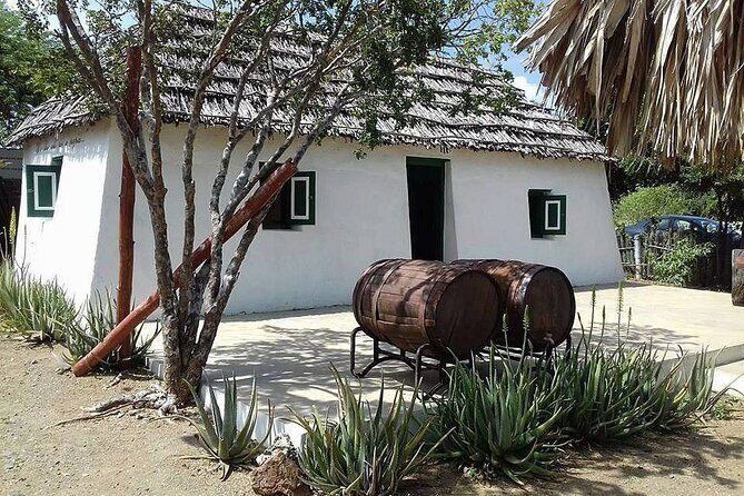 Turtle Swim, Shete Boka & Kenepa Beach Adventure in Curaçao - Final Thoughts