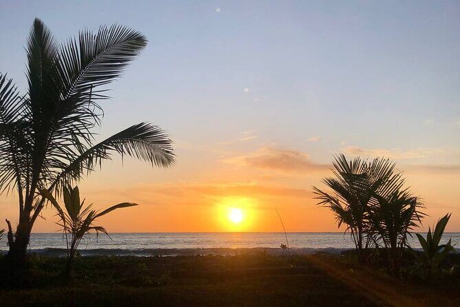 Turtle Tales of Pulau Banyak - Who Will Love This Tour?