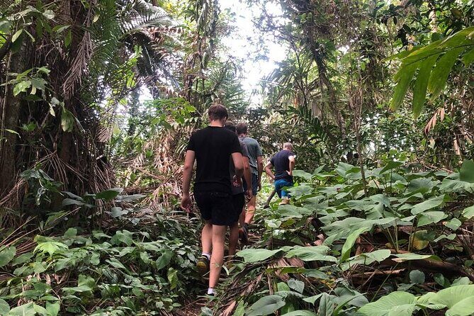 Turtle Tales of Pulau Banyak - Who Should Consider This Tour?