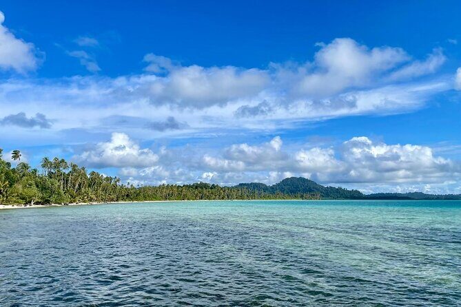 Turtle Tales of Pulau Banyak - The Sum Up