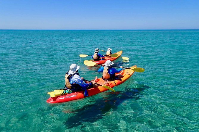 Turtle Tour - Ningaloo Reef Half Day Sea Kayak and Snorkel Tour - Tour Inclusions