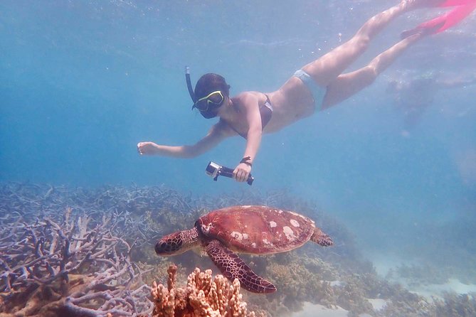 Turtle Tour - Ningaloo Reef Half Day Sea Kayak and Snorkel Tour - Customer Reviews