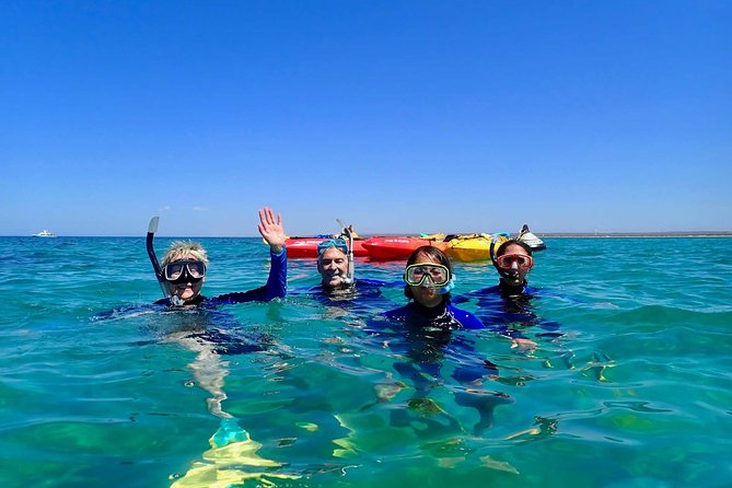 Turtle Tour - Ningaloo Reef Half Day Sea Kayak and Snorkel Tour - The Sum Up
