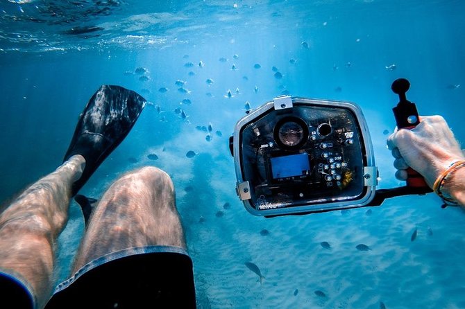 Turtle Town Snorkel With Photo and Video - Snorkeling at Turtle Town Maui
