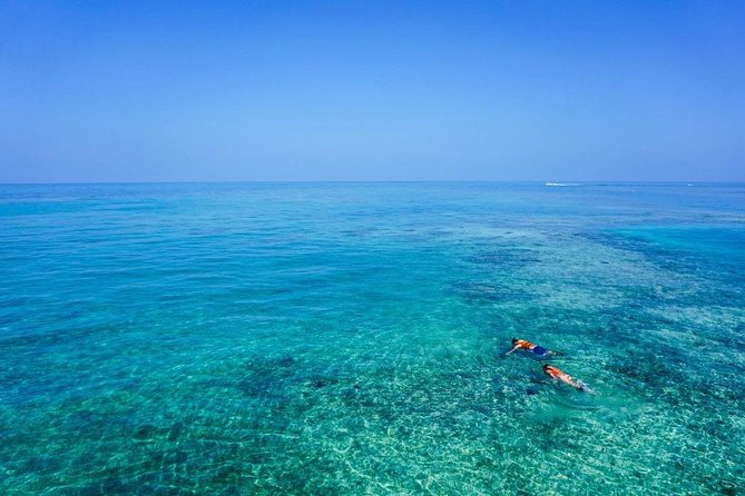 Turtle Town Snorkel With Photo and Video - Photo and Video Opportunities