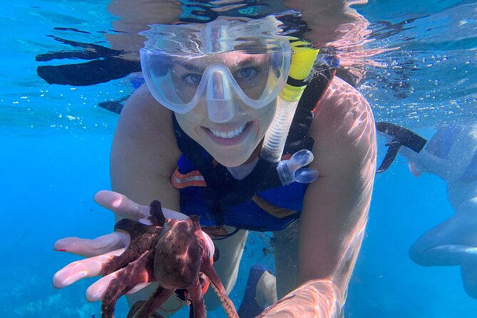 Turtle Town Snorkel With Photo and Video - Recommendations and Suggestions