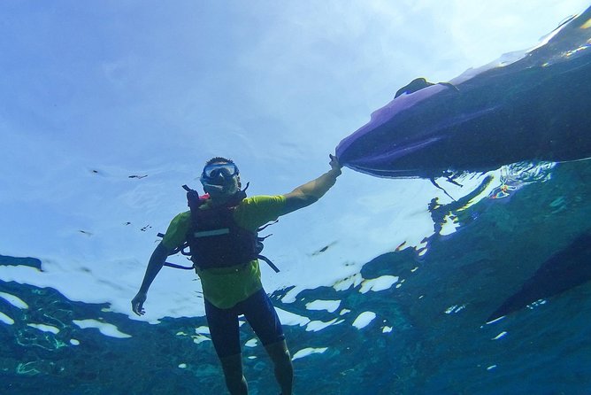 Turtles Accompany You, Little Ryukyu Canoe Snorkeling - Meeting and Pickup