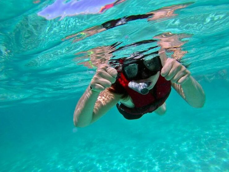 Turtles and Cenotes Tour - Tour Highlights