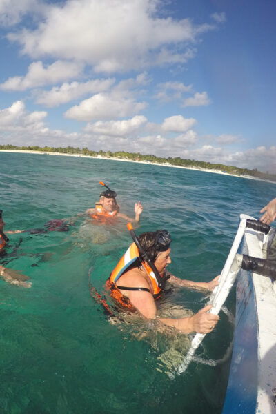 Turtles & Cenotes Half-Day Tour From Riviera Maya. - Exploring Tulums Mayan Walled City