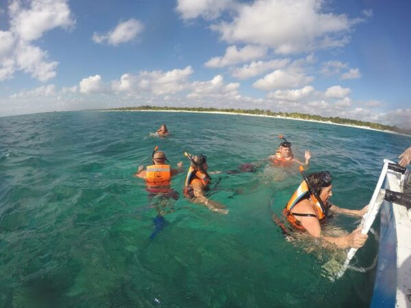 Turtles & Cenotes Half-Day Tour From Riviera Maya. - Taking in Cenote Ecosystem