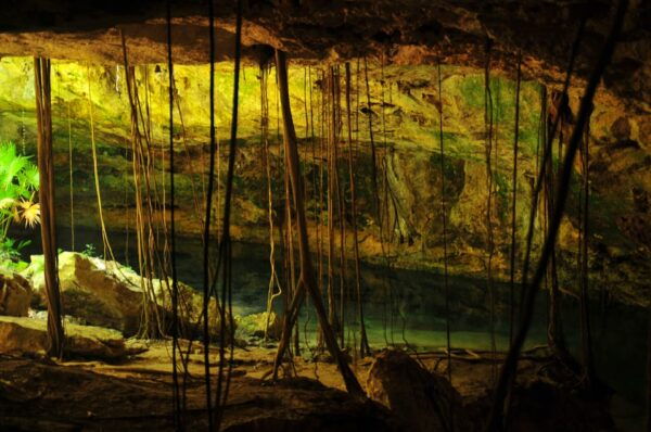 Turtles & Cenotes Half-Day Tour From Riviera Maya. - Personalized Small Group Experience