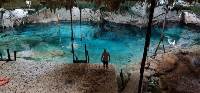 Turtles & Cenotes Private Tour - Wildlife and Conservation