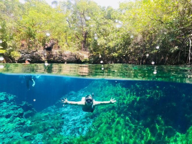 Turtles & Cenotes Private Tour - Unique and Clean Cenotes