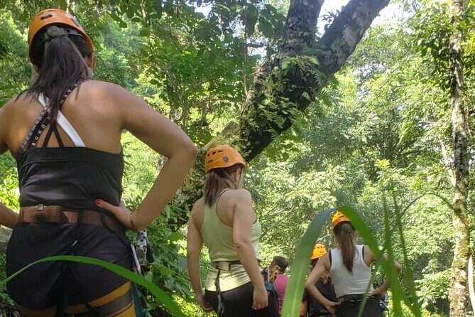 Turtles Release Adventure - Good To Know