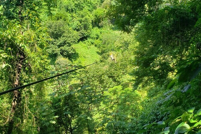 Turtles Release Adventure - The Authenticity and Impact of the Experience