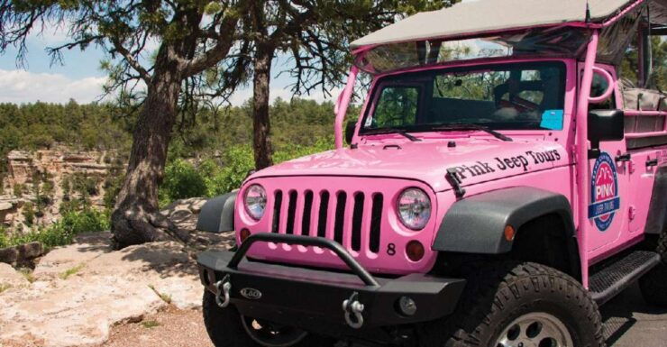 Tusayan: Grand Canyon Desert View & South Rim Pink Jeep Tour - Tour Highlights