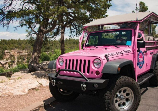 Tusayan: Grand Canyon Desert View & South Rim Pink Jeep Tour - Full Description