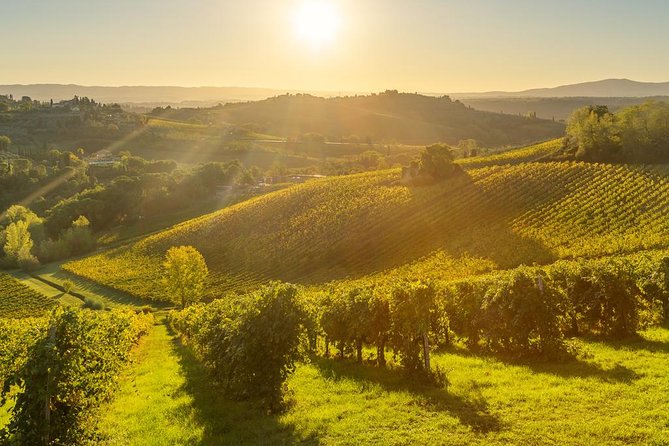 Tuscan Chianti Hills Horseback Riding Tour - Booking and Cancellation Policy