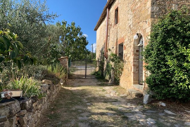 Tuscan Cooking Class in Siena - Authenticity and Delicious Recipes