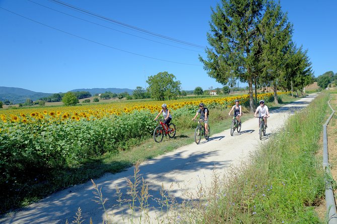 Tuscan Countryside Bike Tour and Saffron Tasting - Tour Pricing and Booking Details