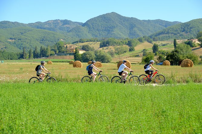 Tuscan Countryside Bike Tour and Saffron Tasting - Experience the Tuscan Countryside by Bicycle