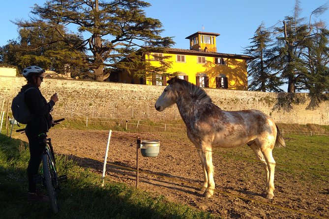 Tuscan Countryside Bike Tour and Saffron Tasting - Common Questions