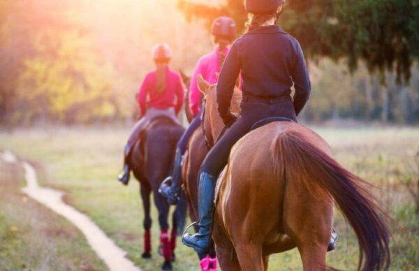 Tuscan Countryside Thrills on a Three-Day Tour - Booking and Cancellation Policy