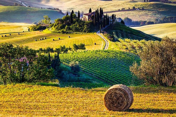Tuscan Food and Wine Tour of Val Dorcia From Florence - Positive Reviews of the Tour