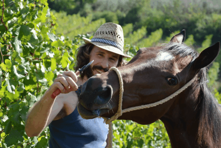 Tuscan Lunch & Winery Tour With Tasting in San Gimignano - Pricing and Booking Information