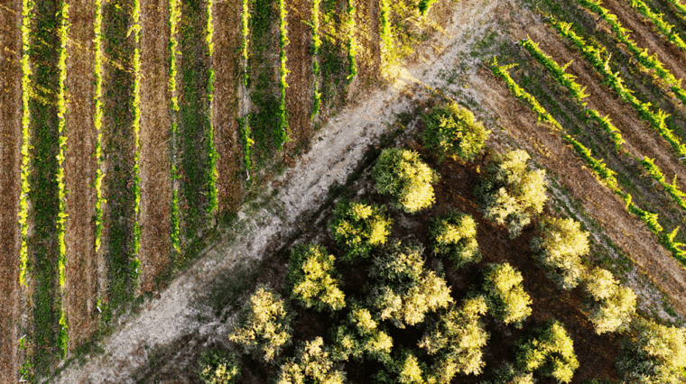 Tuscan Lunch & Winery Tour With Tasting in San Gimignano - Cancellation Policy