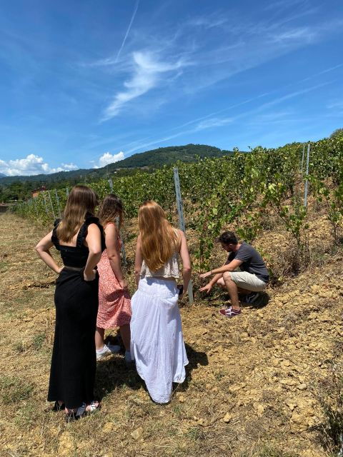 Tuscan Wine Tour by Shuttle From Pisa - Inclusions and Tour Experience