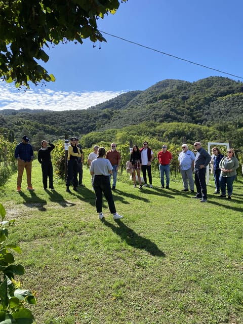 Tuscan Wine Tour by van from Lucca - FAQs  