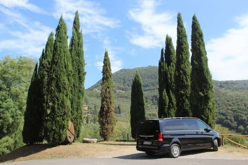 Tuscan Wine Tour by van from Pisa - Good To Know  
