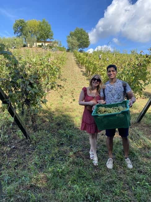Tuscan Wine Tour by van from Pisa - Frequently Asked Questions